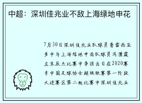 中超：深圳佳兆业不敌上海绿地申花